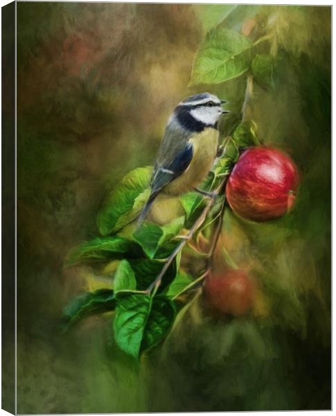 Blue Tit in the Apple Tree Canvas Print by Chantal Cooper