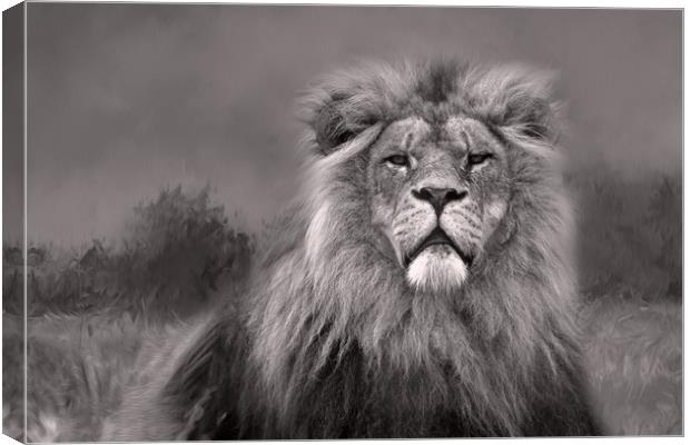 King of the Jungle  Canvas Print by Chantal Cooper