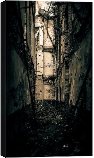 Abandoned Mansion Canvas Print by Nick Sayce