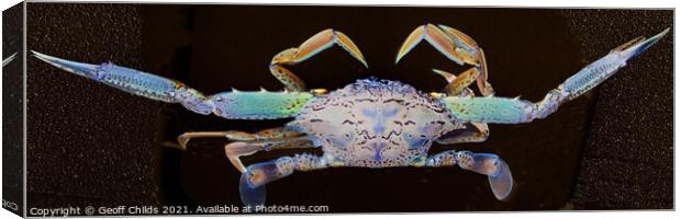 Blue Swimmer Crab Art closeup. Canvas Print by Geoff Childs