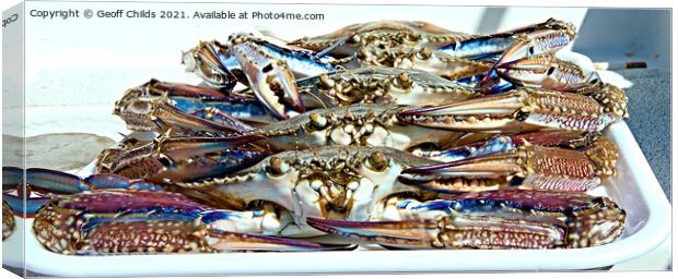 Live Blue SWimmer Crab. Ready for the cooking pot. Canvas Print by Geoff Childs