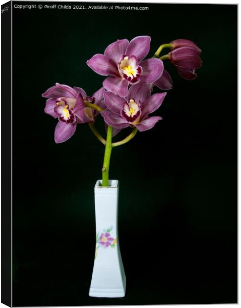  Pretty purple Cymbidium Orchid in a Vase on black Canvas Print by Geoff Childs