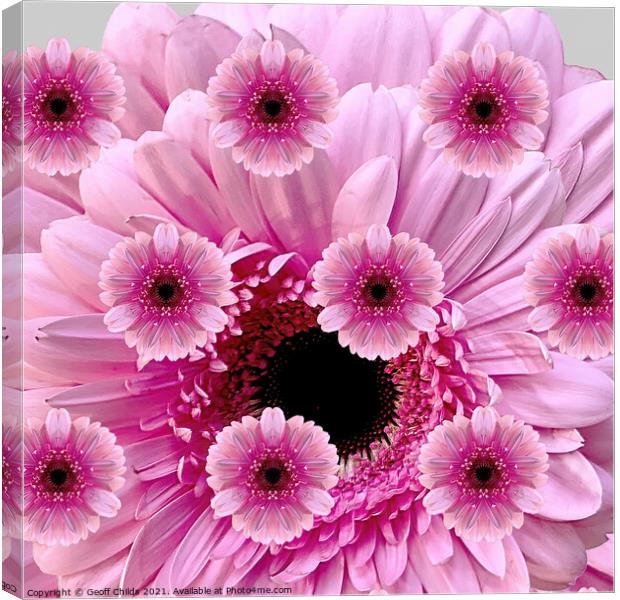 Pretty photographic composition display of Pink Gerbera Daisies. Canvas Print by Geoff Childs