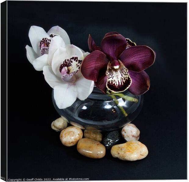 White & purple Cymbidium orchids; (Boat Orchid) in a glass vase  Canvas Print by Geoff Childs