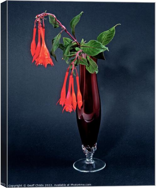  Red Fuchsia, onagraceae, flower in a red glass vase isolated. Canvas Print by Geoff Childs