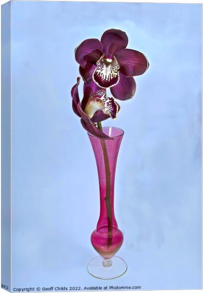  Purple Cymbidium Orchids (Boat Orchids) closeup in a vase. Canvas Print by Geoff Childs