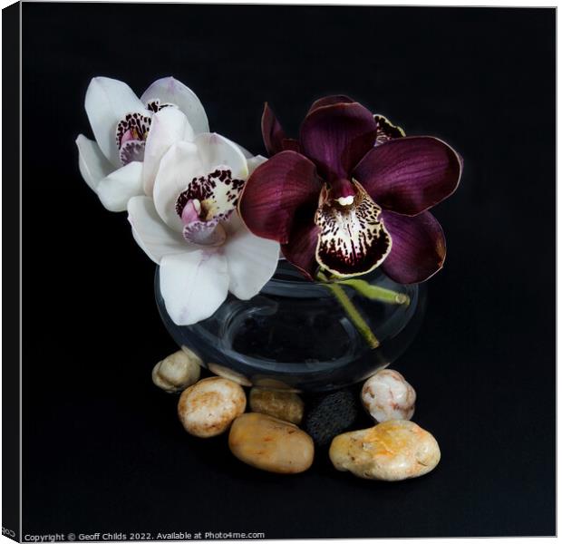 White & purple Cymbidium orchids; in a glass vase. Canvas Print by Geoff Childs
