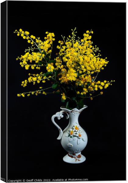 Wattle blossoms in a white ceramic vase on black. Canvas Print by Geoff Childs