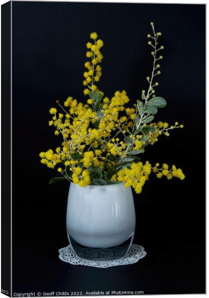 Wattle blossoms in a white glass vase on black. Wattle Day image Canvas Print by Geoff Childs