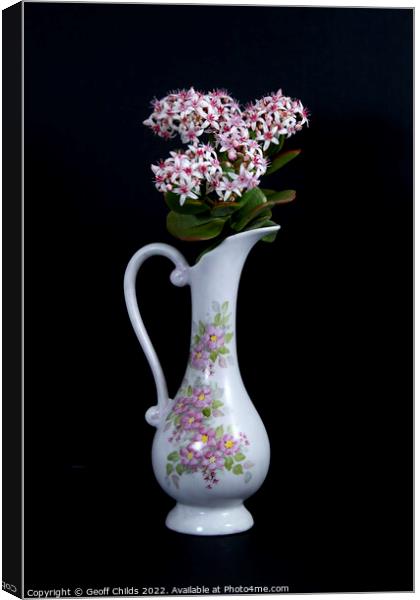  Jade Plant flowers in a vase on a black background.  Canvas Print by Geoff Childs