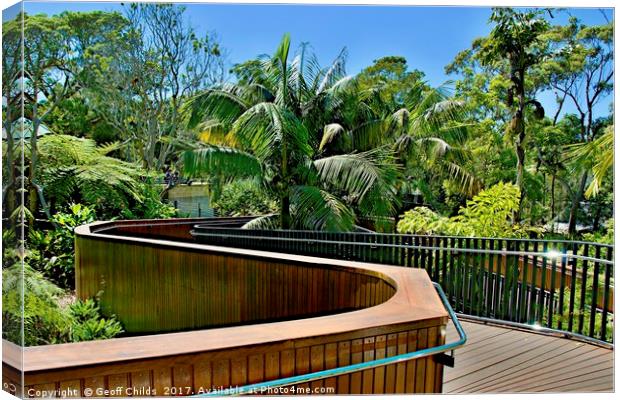 Tropical trees nature walkway. Canvas Print by Geoff Childs