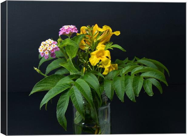 Lantana and yellow Trumpet flowers. Canvas Print by Geoff Childs