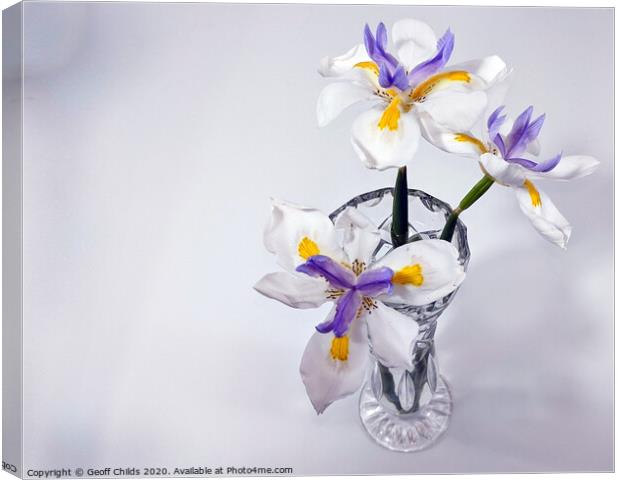 Wild Iris in glass vase. Canvas Print by Geoff Childs