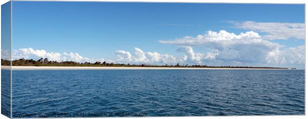 White pristine sandy beach, Fraser Island Canvas Print by Geoff Childs