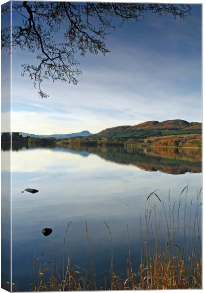 The Lake of Menteith Canvas Print by Bill Spiers