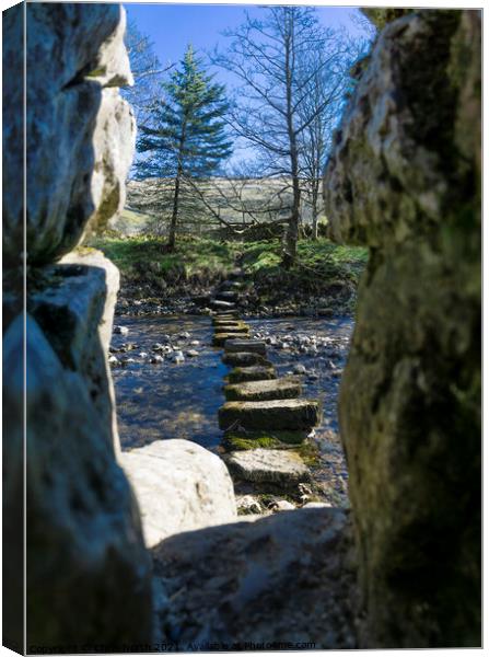 Starbotton Steppingstones. Canvas Print by Chris North
