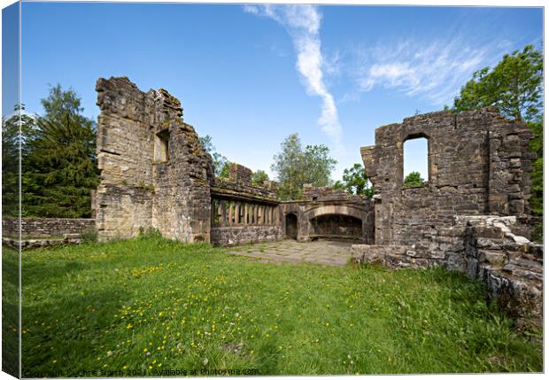 The ruins of Wycoller Village. Canvas Print by Chris North