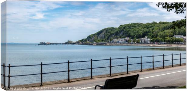 Oystermouth village and the Mumbles Lighthouse. Canvas Print by Chris North