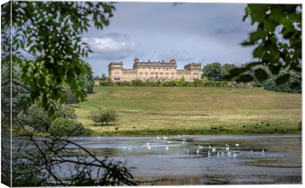 Harewood House, one of the Treasure Houses of Engl Canvas Print by Chris North