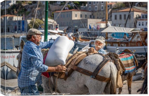 Donkey Drovers of Hydra. Canvas Print by Chris North