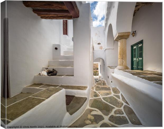 Backstreet scene of the hillside village of kastro on Sifnos Isl Canvas Print by Chris North