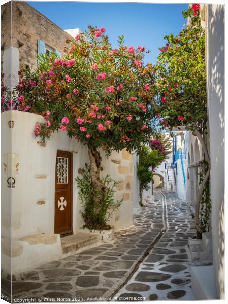 The back streets of old  Paros town. Canvas Print by Chris North