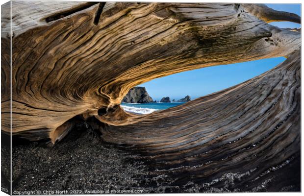 Natural redwood sculpture on Navarro beach, California. Canvas Print by Chris North