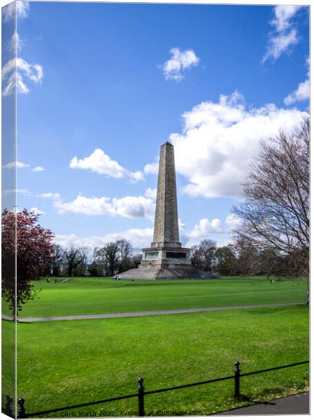 The monument to the Duke of Wellington in Phoenix Park Dublin. Canvas Print by Chris North