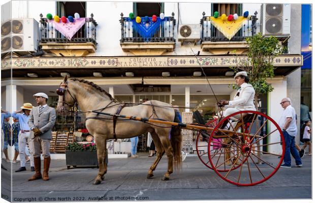 Horse and buggy in Ronda Spain. Canvas Print by Chris North