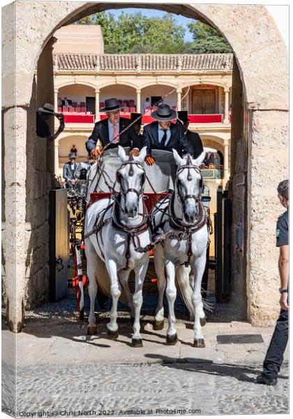 Andalusian horse and carriage. Canvas Print by Chris North