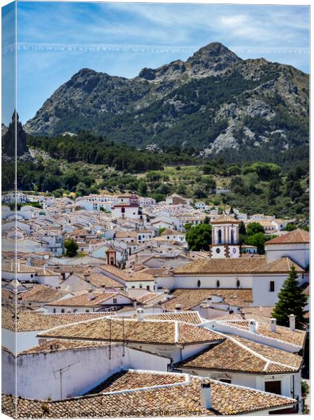  Grazalema Village and mountains. Canvas Print by Chris North