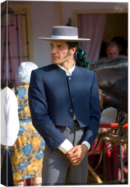 Carriage driver at Jerez, Spain. Canvas Print by Chris North