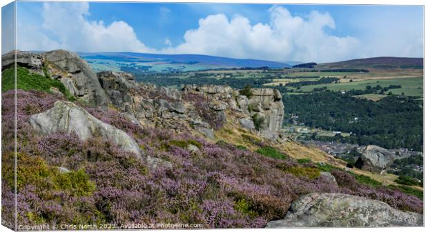 Cow and Calf rocks on Ilkley Moor Canvas Print by Chris North