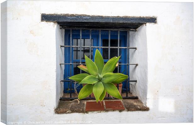 Castella Del Frontera window. Canvas Print by Chris North