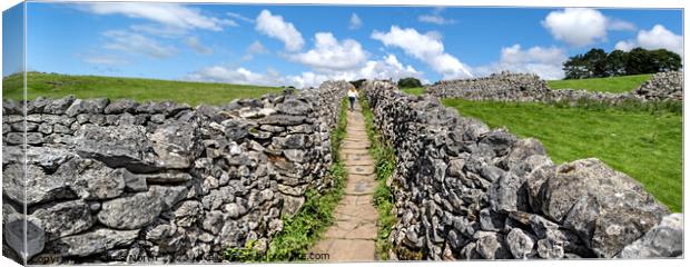 Dry stone walls of Grassington in the Yorkshire Dales. Canvas Print by Chris North