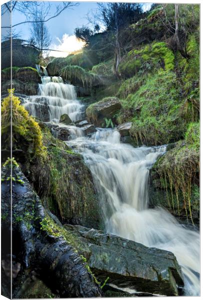 Bronte waterfall Canvas Print by Chris North