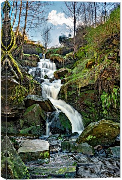 The Brontë waterfall on Harwoth moor. Canvas Print by Chris North