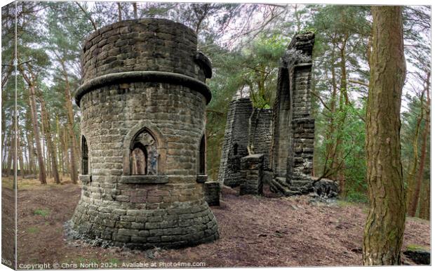 Ferdinand folly, in Harden Woods, Bingley Canvas Print by Chris North