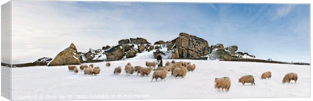 Winter feed at Almscliff Crags, North Yorkshire. Canvas Print by Chris North