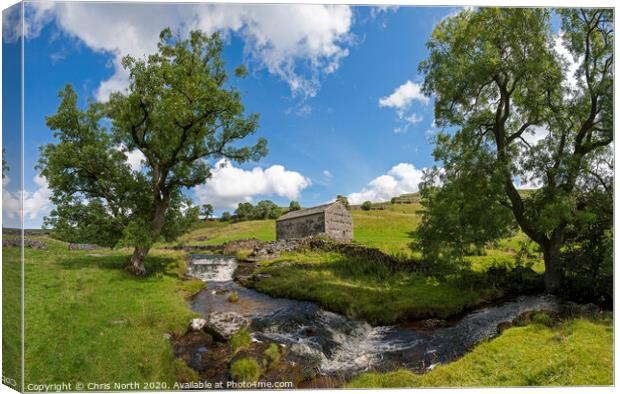 Cray in Wharfedale. Canvas Print by Chris North