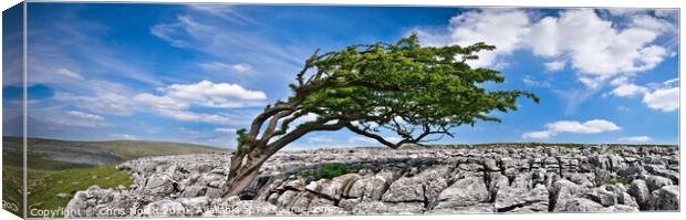 Limestone pavement at Twisleton scar. Canvas Print by Chris North