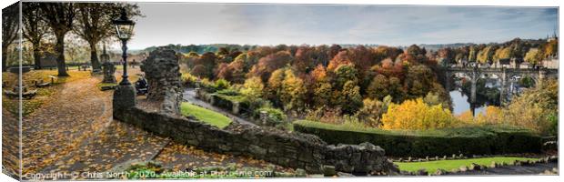 View from Knaresborough Castle Canvas Print by Chris North