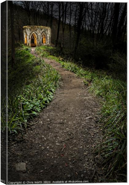 Fishers Hall, Hackfall woods.  Canvas Print by Chris North