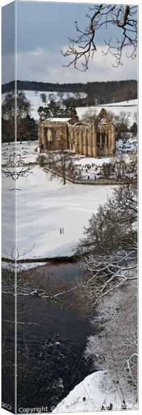 Bolton Abbey winter walk Canvas Print by Chris North