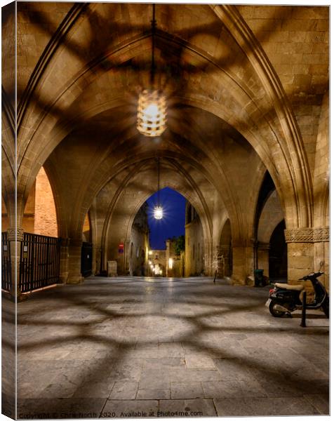 Avenue of the Knights  Canvas Print by Chris North