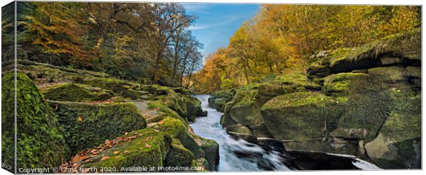 The Strid in autumn, Bolton Abbey estate. Canvas Print by Chris North