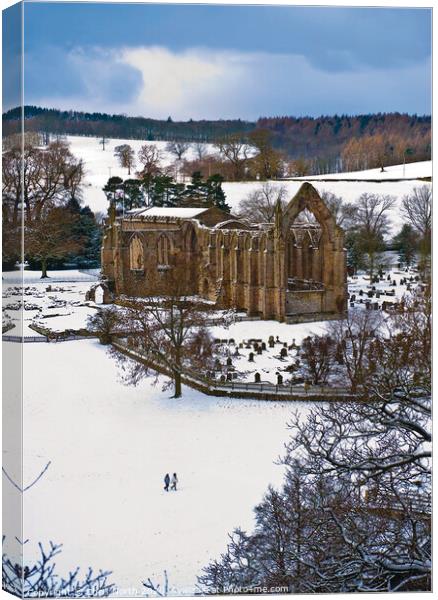 Bolton Abbey in winter. Canvas Print by Chris North