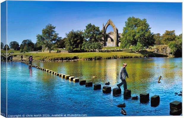 The stepping stones at Bolton Abbey.. Canvas Print by Chris North