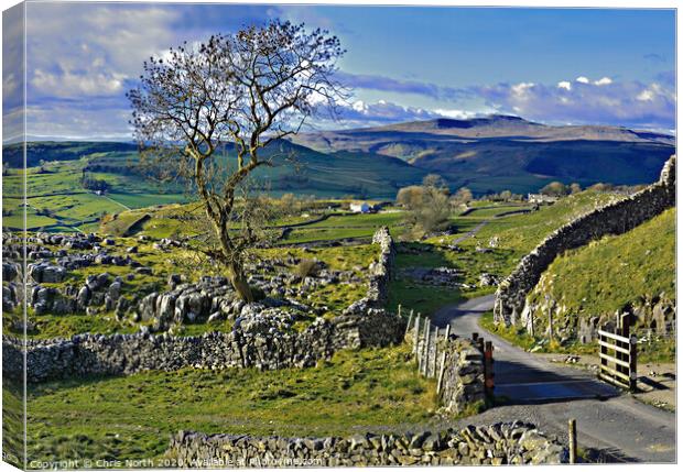 Winskill Stones above the village of Stainforth. Canvas Print by Chris North
