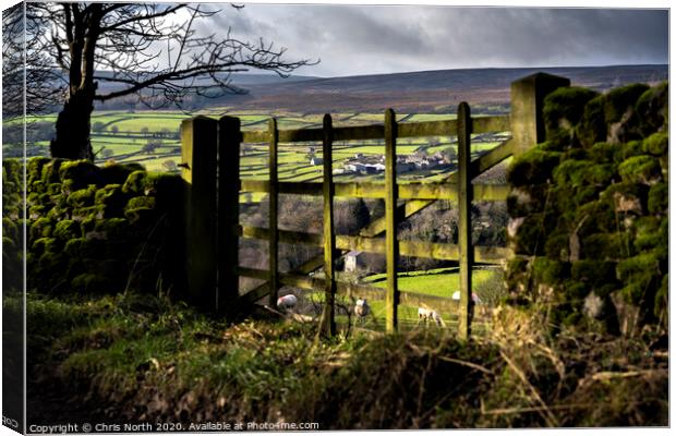 Gateway to the Dales. Canvas Print by Chris North